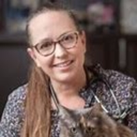 Kelly St. Denis, MSc, DVM, DABVP (feline practice)