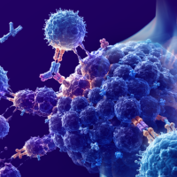 Community Oncology Connections™: Immunotherapy Across the SCLC Continuum: Optimizing Treatment Pathways from Limited-Stage Through Relapsed Disease | Illinois