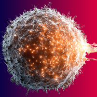 Navigating CRS and ICANS Related to CAR T-Cell Therapy: Prevention, Grading, and Management in Practice