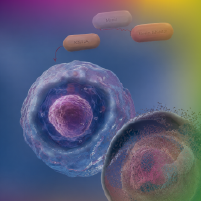Live Hot Seat™: Advancing Precision Care in Acute Myeloid Leukemia With the Integration of Menin Inhibitors