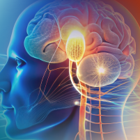 Optimizing Treatment for Difficult-to-Treat Depression: The Role of Vagal Nerve Stimulation Therapy