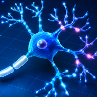 Beyond the Basics in CIDP – Confronting Misdiagnosis and Rethinking Treatment Strategy