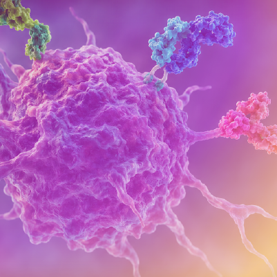 Cases and Conversations™: Precision Care in BPDCN—Integrating Updated Diagnostic Pathways With Current and Emerging CD123-Directed Therapies