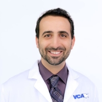 Zachary Wright, DVM, DACVIM	 VCA 
