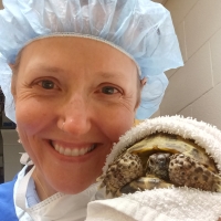 Kate Lafferty, BFA, RLAT, CVT, VTS (Anesthesia & Analgesia)