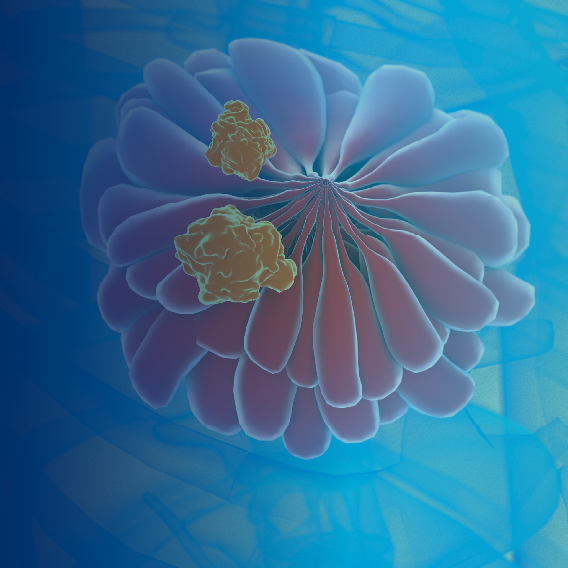 Hot Seat: Which Agent, and When? Integrating Next-Generation Endocrine Strategies Into HR+/HER2– Breast Cancer Management