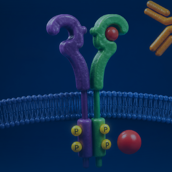 Show Me the Data®: Evolving Strategies and Sequencing of HER2-Directed Therapies in NSCLC