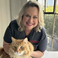 Jennifer Bruns DVM, MPVM  