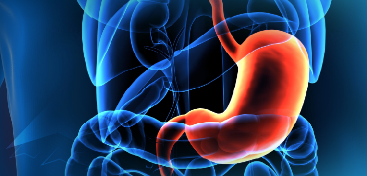 New Precision Strategies for HER2+ GEA: Interpreting New Data to Inform Clinical Practice
