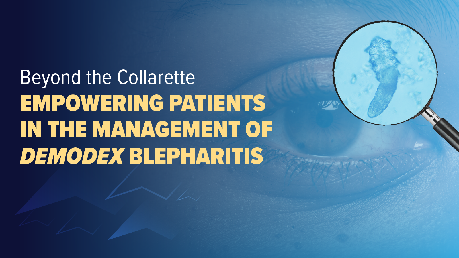 Beyond the Collarette: Empowering Patients in the Management of Demodex Blepharitis | Denver, CO