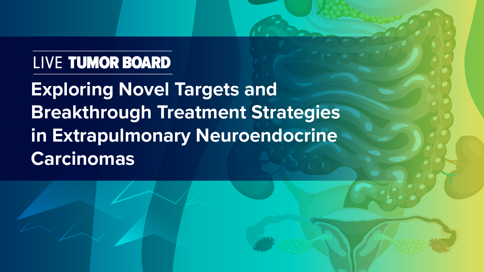 Live Tumor Board: Exploring Novel Targets and Breakthrough Treatment Strategies in Extrapulmonary Neuroendocrine Carcinomas