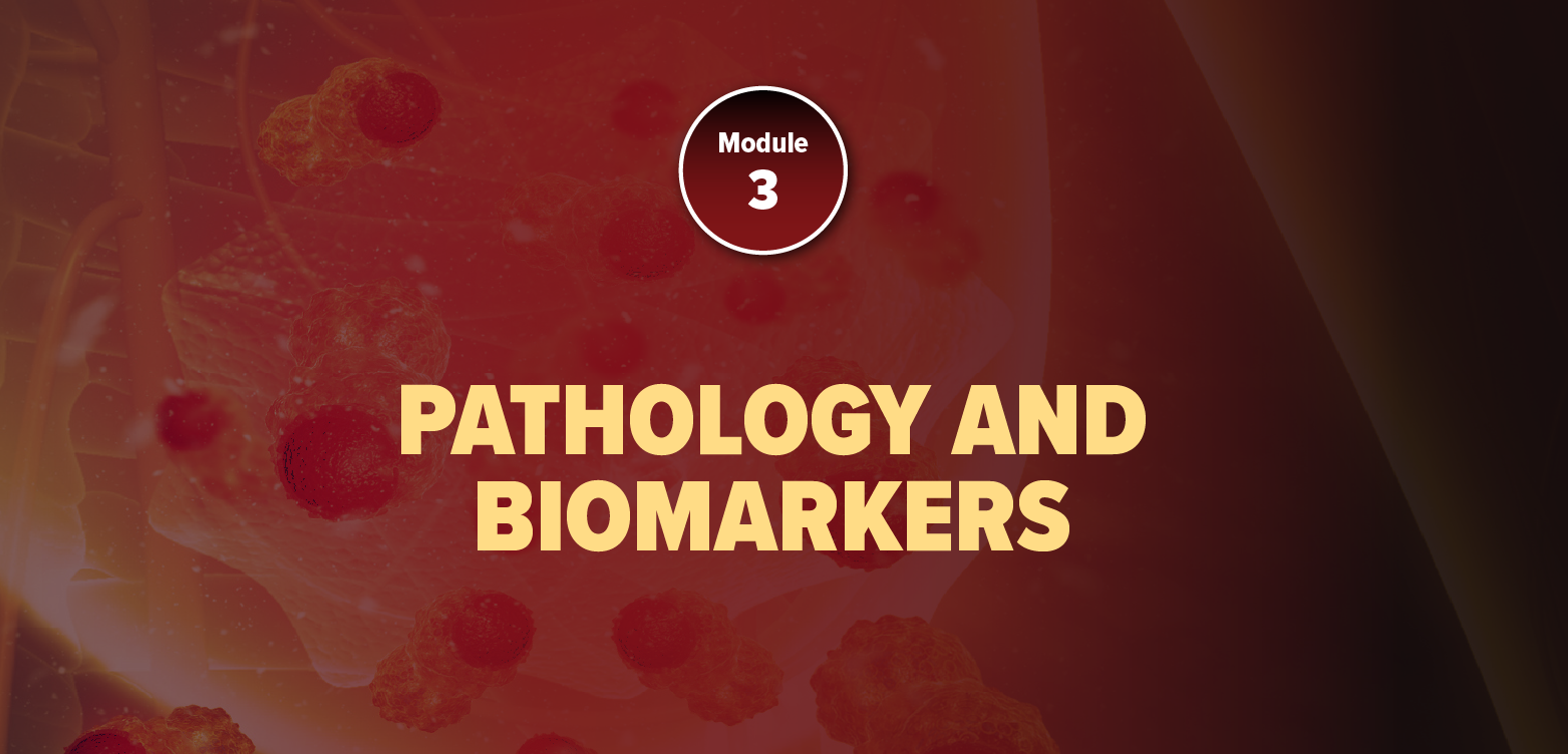 Module 3: Pathology And Biomarkers (2025)