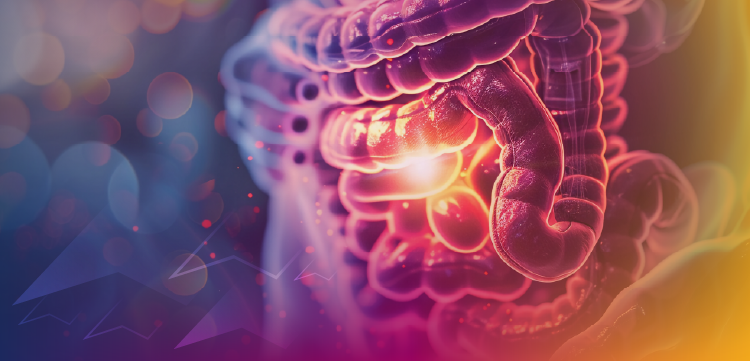 Practical Strategies for Monitoring and Managing Toxicities With Novel Therapies for HER2-Positive Gastroesophageal Adenocarcinoma