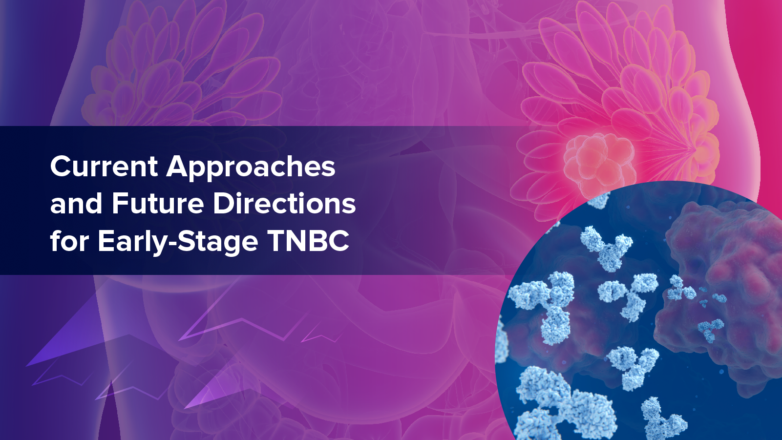 Current Approaches and Future Directions for Early-Stage TNBC