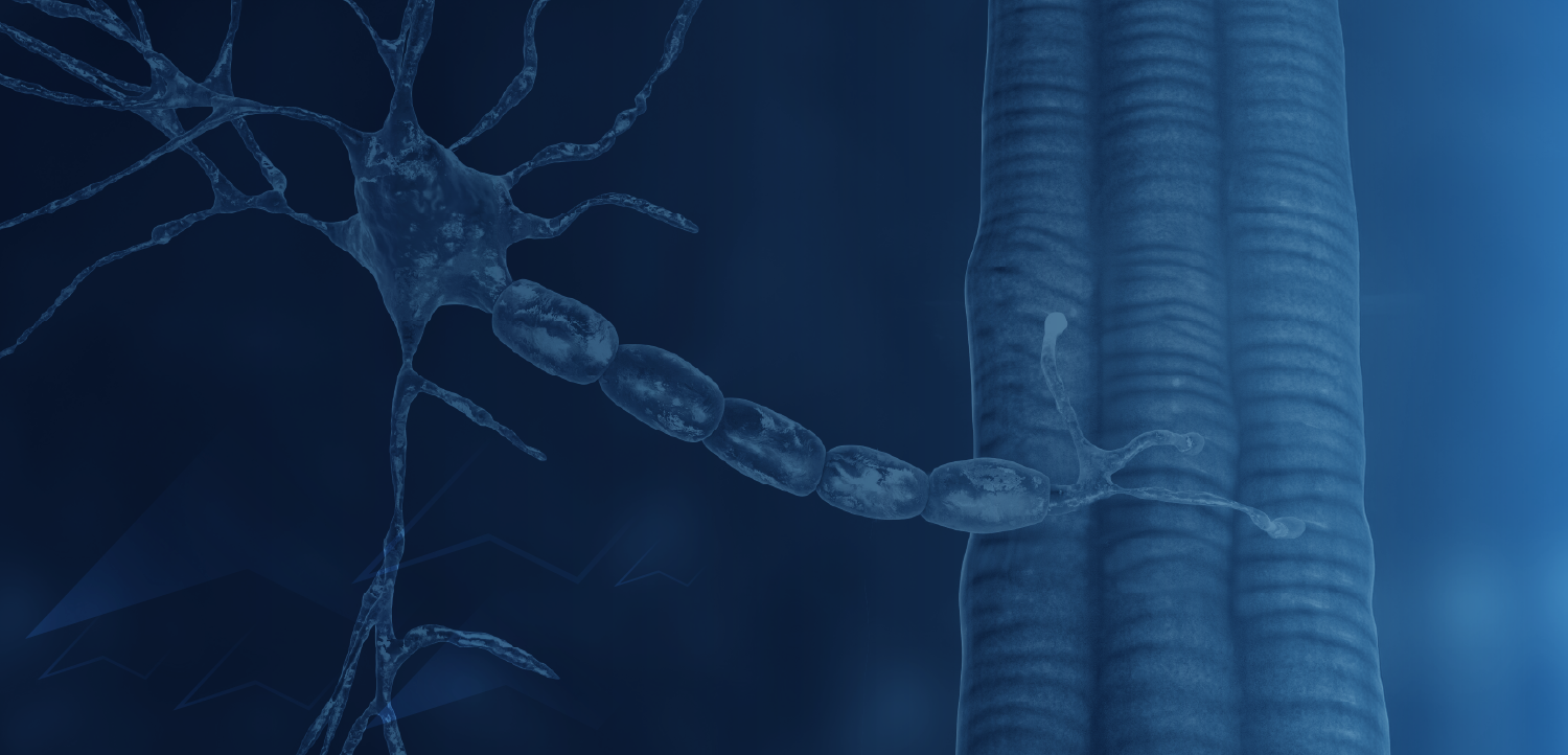Rewiring Recovery: Evidence-Based Approaches to Managing Chronic Inflammatory Demyelinating Polyneuropathy