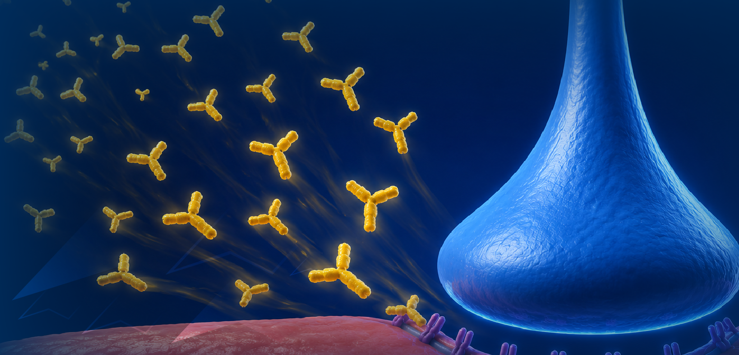 What Is Coming Down the Pipeline for Generalized Myasthenia Gravis (gMG)?