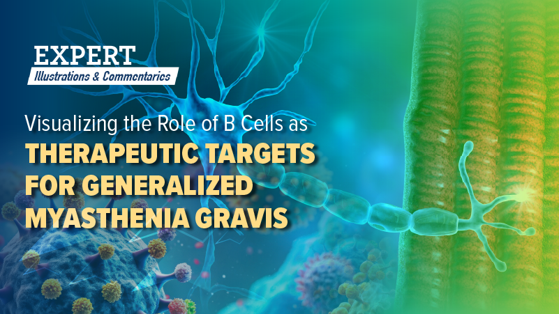 Expert Illustrations & Commentaries™: Visualizing the Role of B Cells as Therapeutic Targets for Generalized Myasthenia Gravis