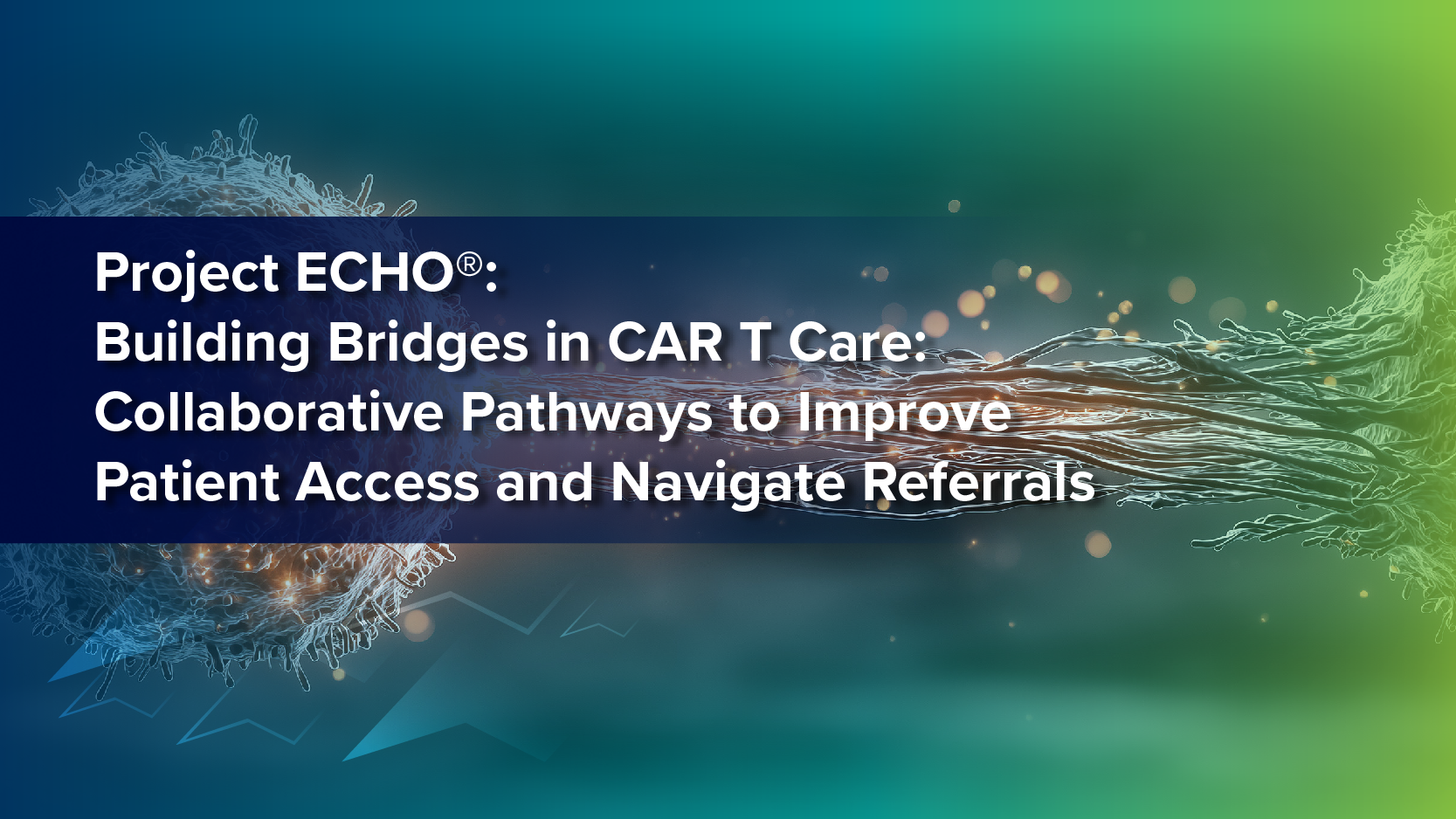 Project ECHO®: Building Bridges in CAR T Care: Collaborative Pathways to Improve Patient Access and Navigate Referrals