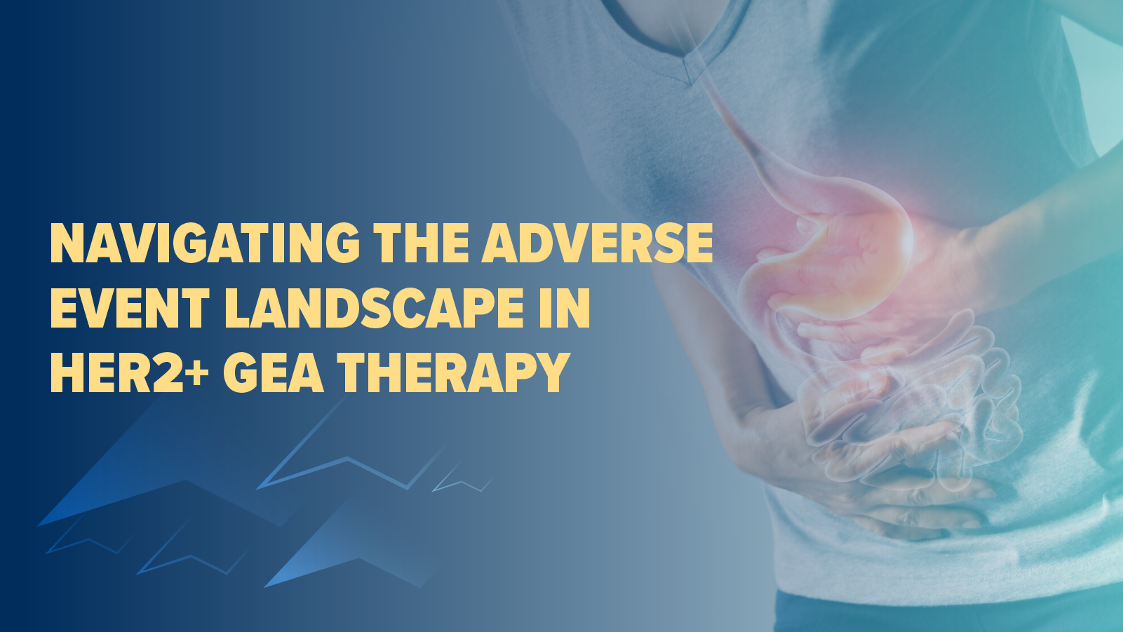 Navigating the Adverse Event Landscape in HER2+ GEA Therapy