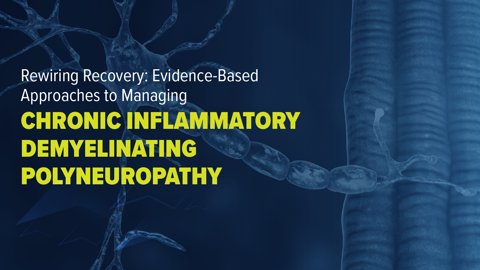 Rewiring Recovery: Evidence-Based Approaches to Managing Chronic Inflammatory Demyelinating Polyneuropathy