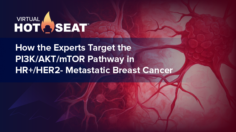 Virtual Hot Seat: How the Experts Target the PI3K/AKT/mTOR Pathway in HR+/HER2– Metastatic Breast Cancer