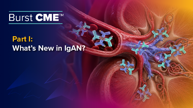 Burst CME™ Part I: What’s New in IgAN?