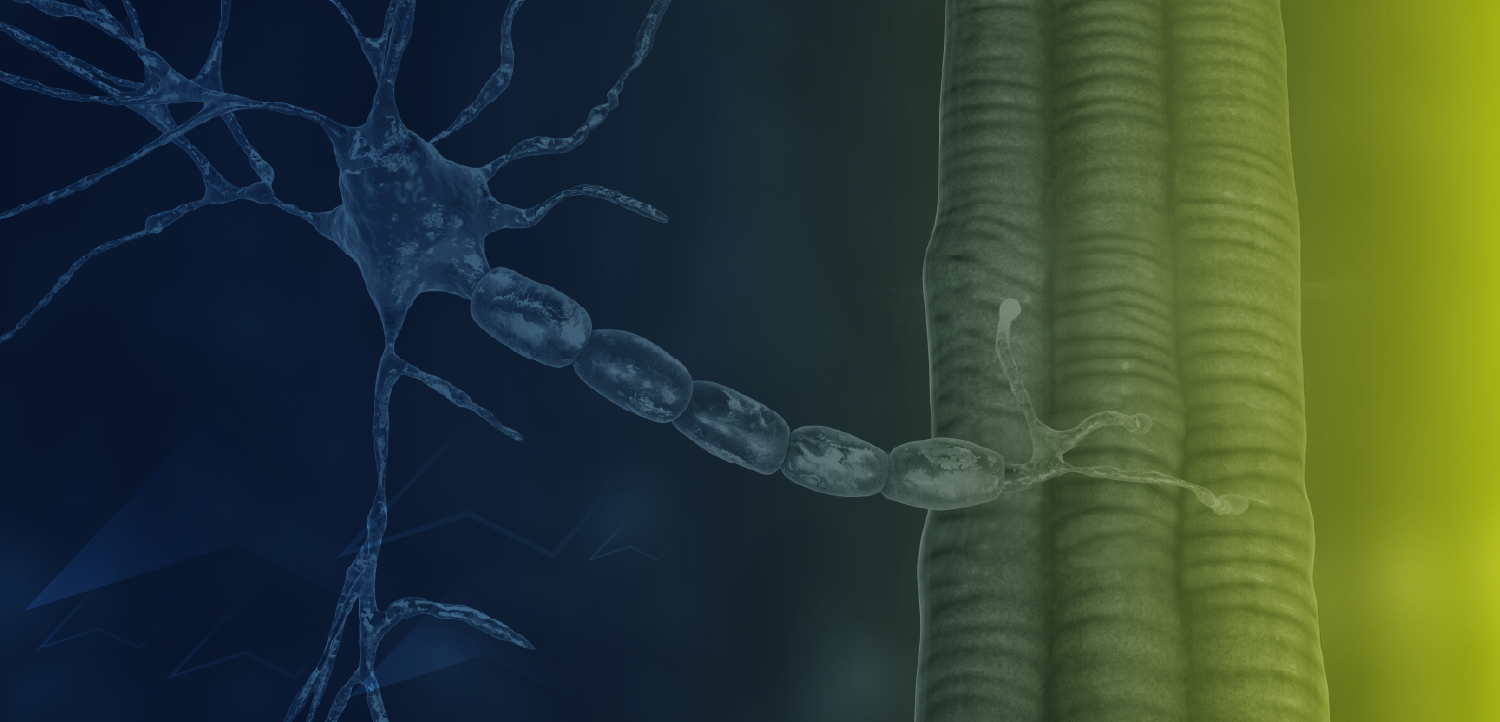 Identifying and Treating Generalized Myasthenia Gravis in the Modern Era