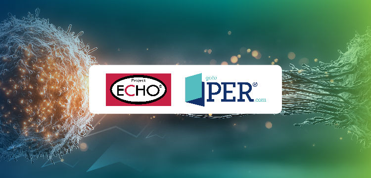 Project ECHO®: Building Bridges in CAR T Care: Collaborative Pathways to Improve Patient Access and Navigate Referrals