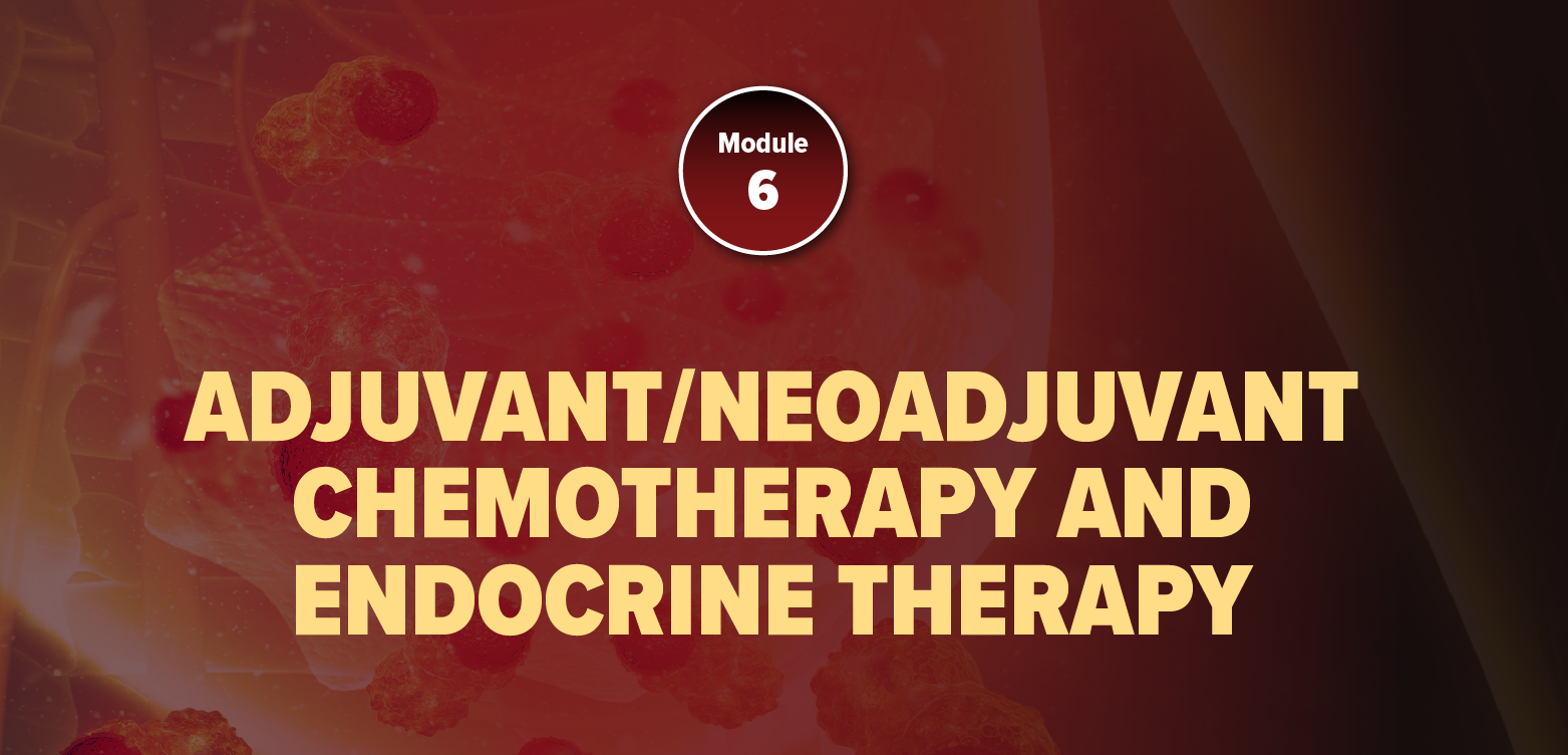 Module 6: Adjuvant/Neoadjuvant Chemotherapy and Endocrine Therapy (2025)