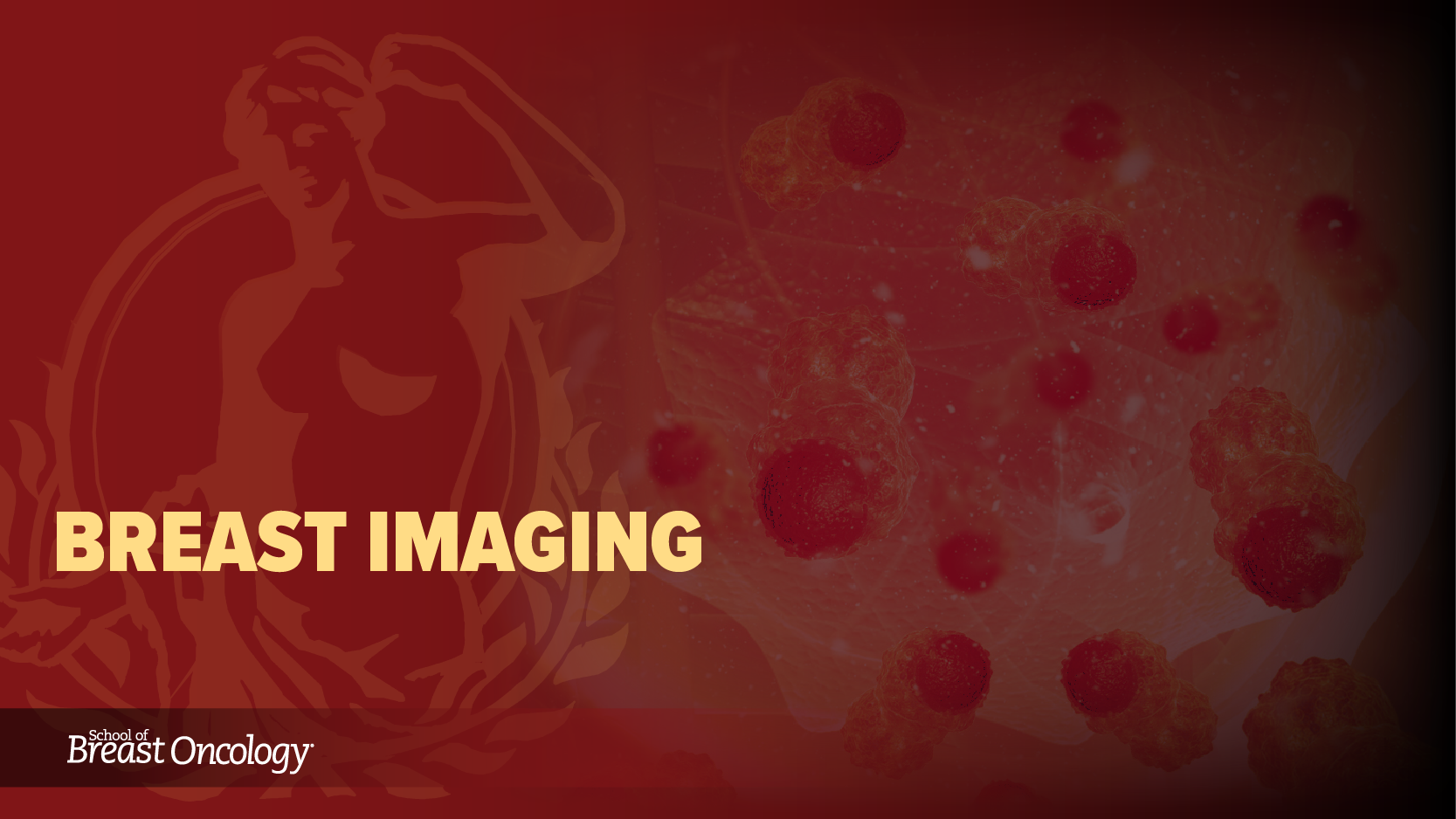 Module 2: Breast Imaging (2025)