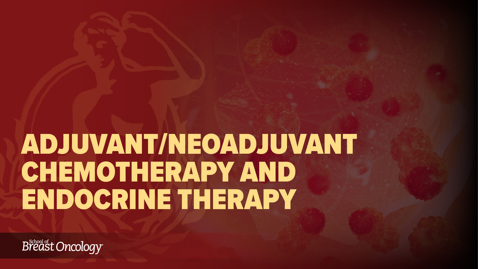 Module 6: Adjuvant/Neoadjuvant Chemotherapy and Endocrine Therapy (2025)
