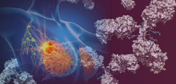 First-Line ADC Monotherapy in mTNBC: Addressing Unmet Needs in Immunotherapy-Ineligible Populations
