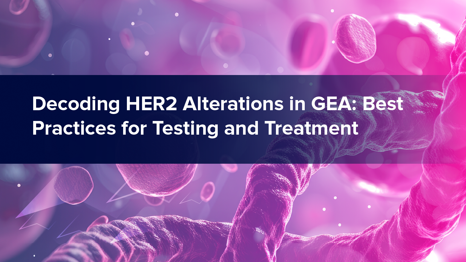 Decoding HER2 Alterations in GEA: Best Practices for Testing and Treatment