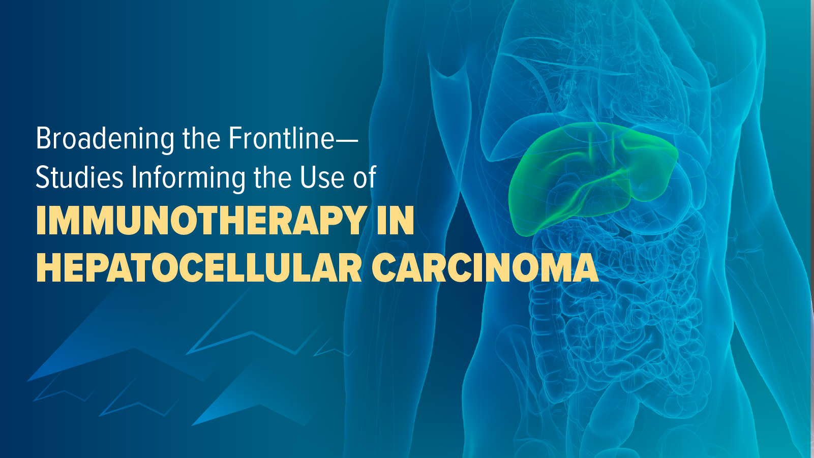 Broadening the Frontline—Studies Informing the Use of Immunotherapy in Hepatocellular Carcinoma