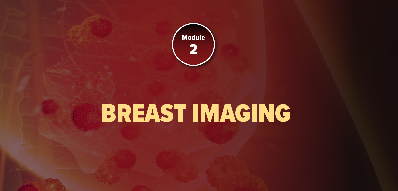 Module 2: Breast Imaging (2025)