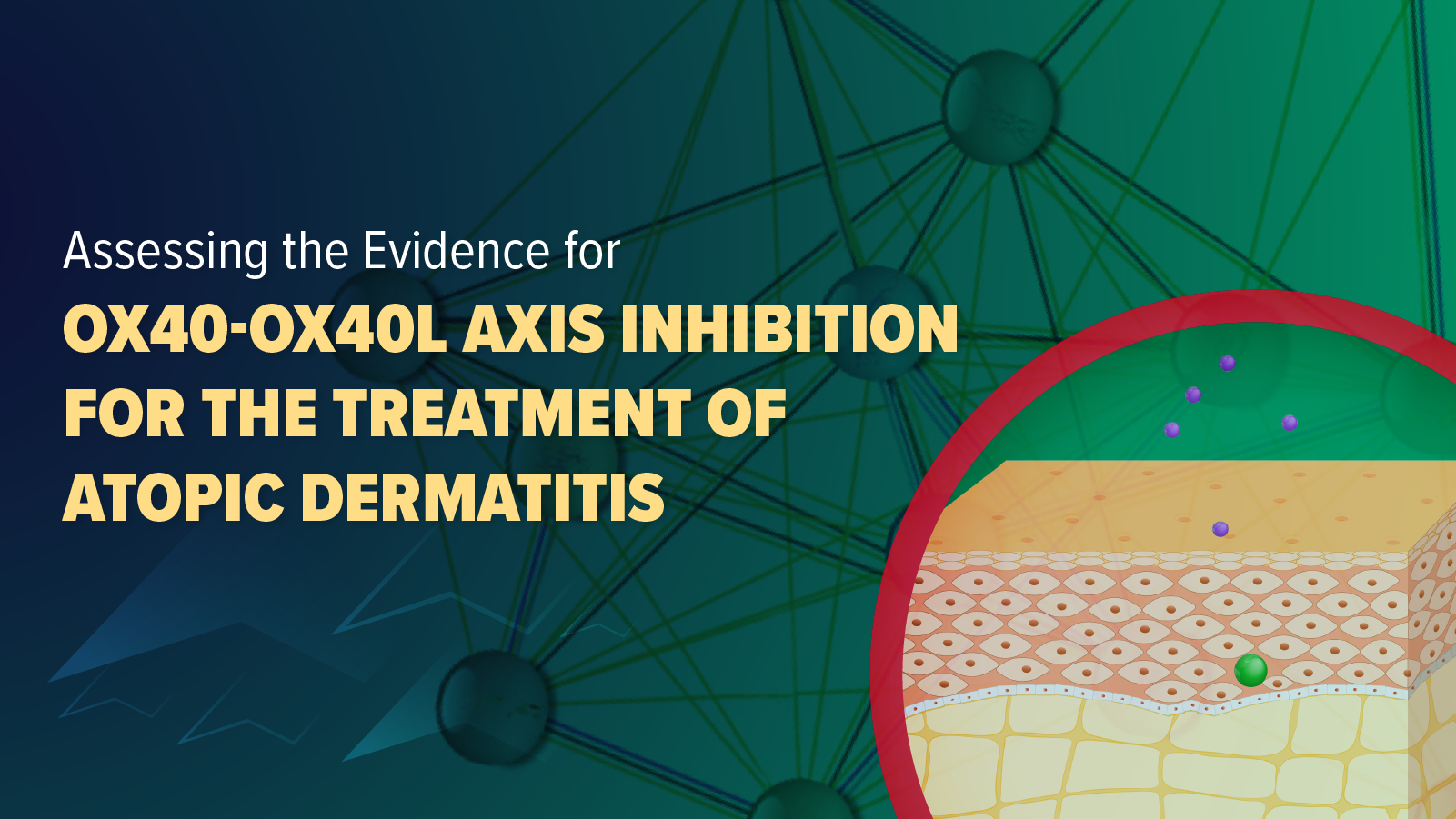 Assessing the Evidence for OX40-OX40L Axis Inhibition for the Treatment of Atopic Dermatitis