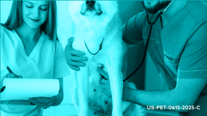 Mitral Valve Disease: Managing Clinical Signs and Extending Life