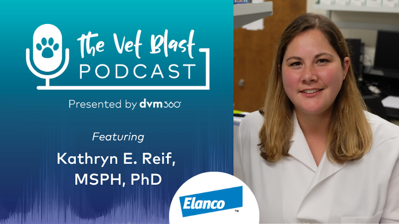  Tick Tidbits: Ticking off the 5 W's on These Tiny Troublemakers