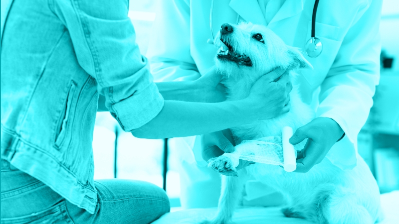 A Total Wound Care Approach: Improving the Physical and Emotional Health of Patients