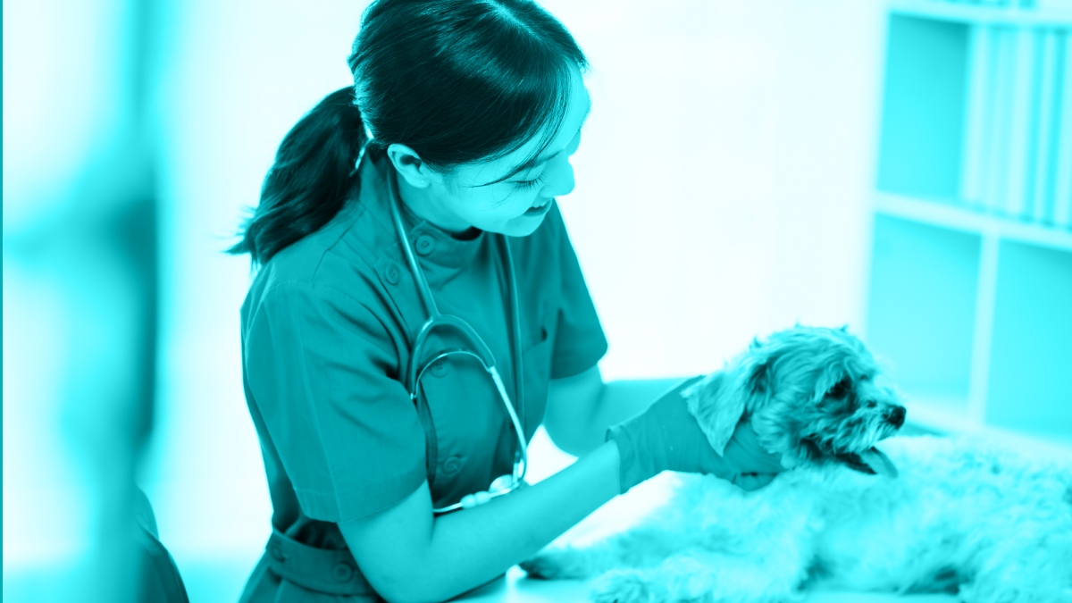 Adjunctive Analgesic Drugs