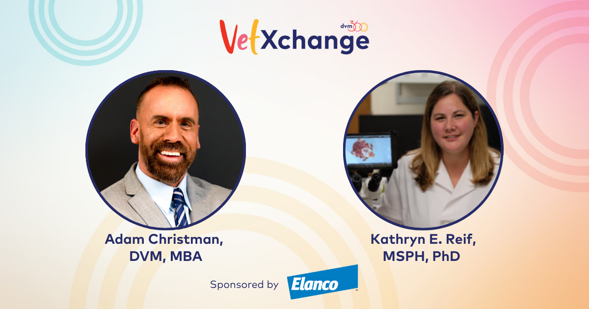  Tick Tidbits: Ticking off the 5 W’s on These Tiny Troublemakers 