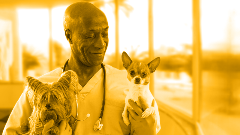 The Ownership Move: Rethinking the Path From Associate DVM to Boss