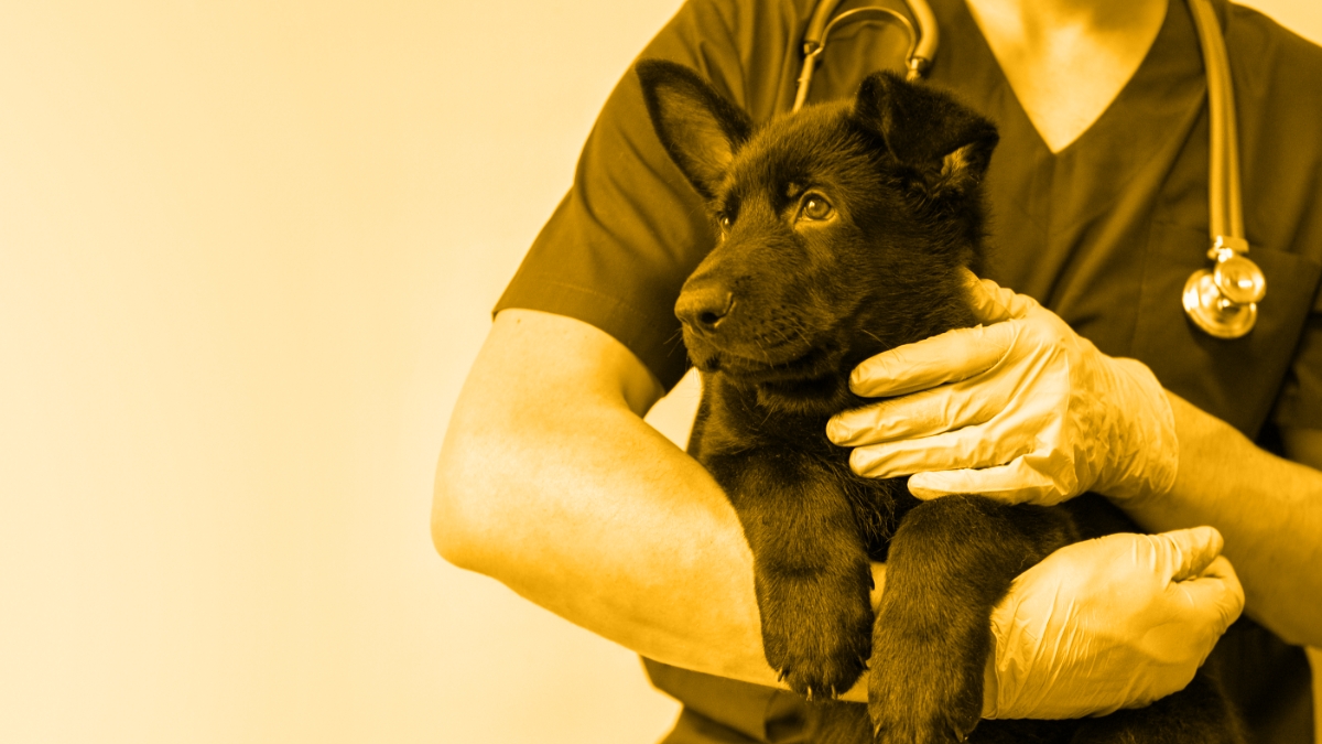 Risks, Rewards, and Regulation: Getting Comfortable With Compounding