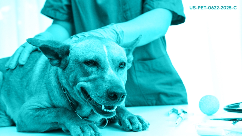 Tackling Tough Topics: Resistance in Canine Parasitology