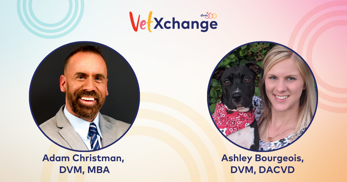 Rapid Relief: Managing Canine Allergic Itch in Practice