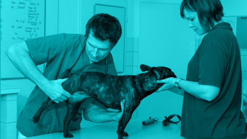 The Roadmap to Osteoarthritis Success