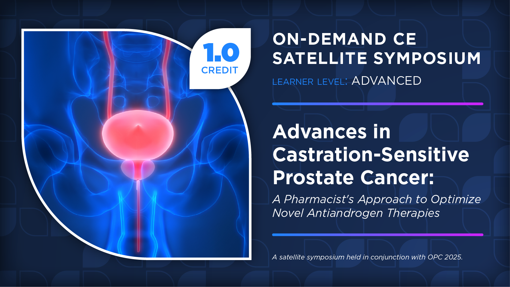 Advances in Castration-Sensitive Prostate Cancer: A Pharmacist's Approach to Optimize Novel Antiandrogen Therapies