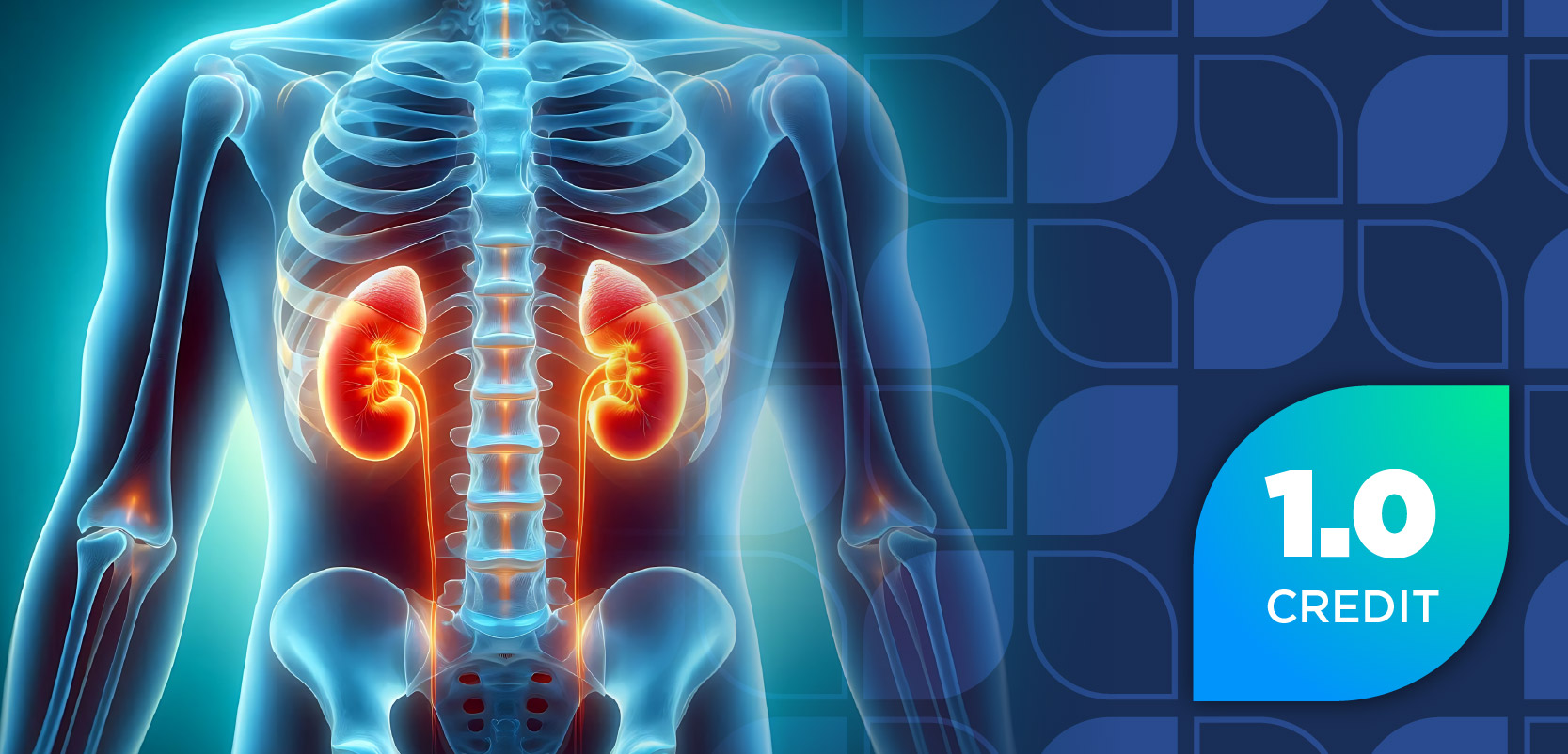 Targeting the Complement Cascade: Evolving Strategies in the Management of Complement-Mediated Kidney Diseases