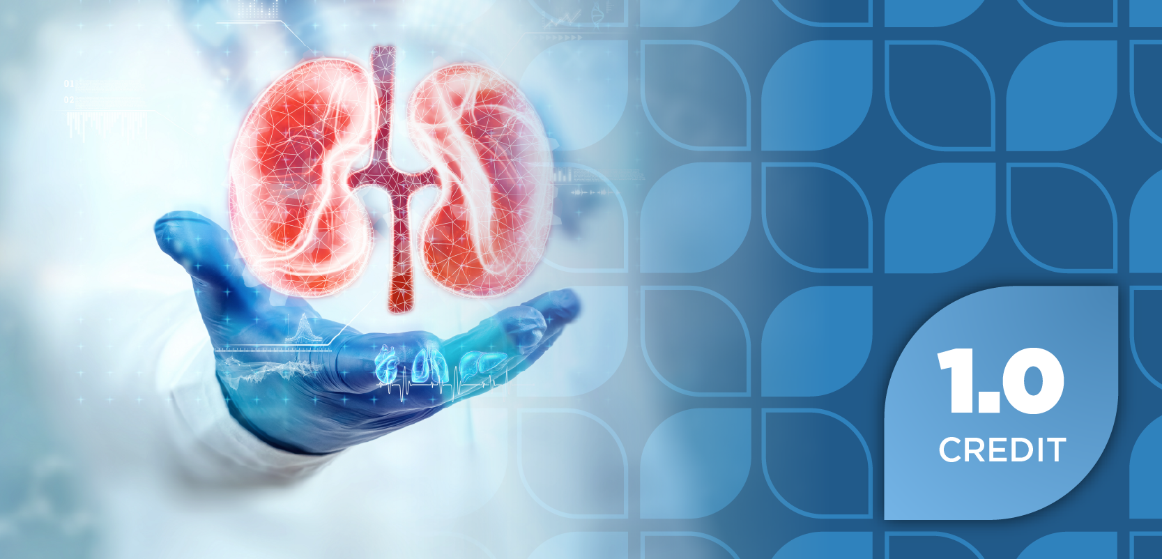 The Expanding Therapeutic Landscape in  IgA Nephropathy: Translating New Clinical Evidence and Updated Guidelines Into Managed Care Strategies