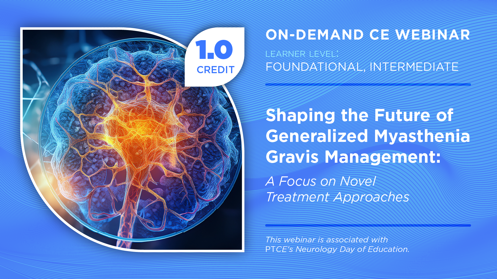 Shaping the Future of Generalized Myasthenia Gravis Management: A Focus on Novel Treatment Approaches